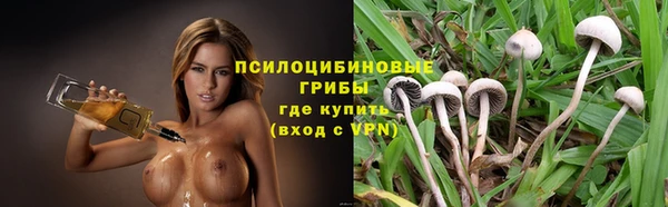 спайс Кострома